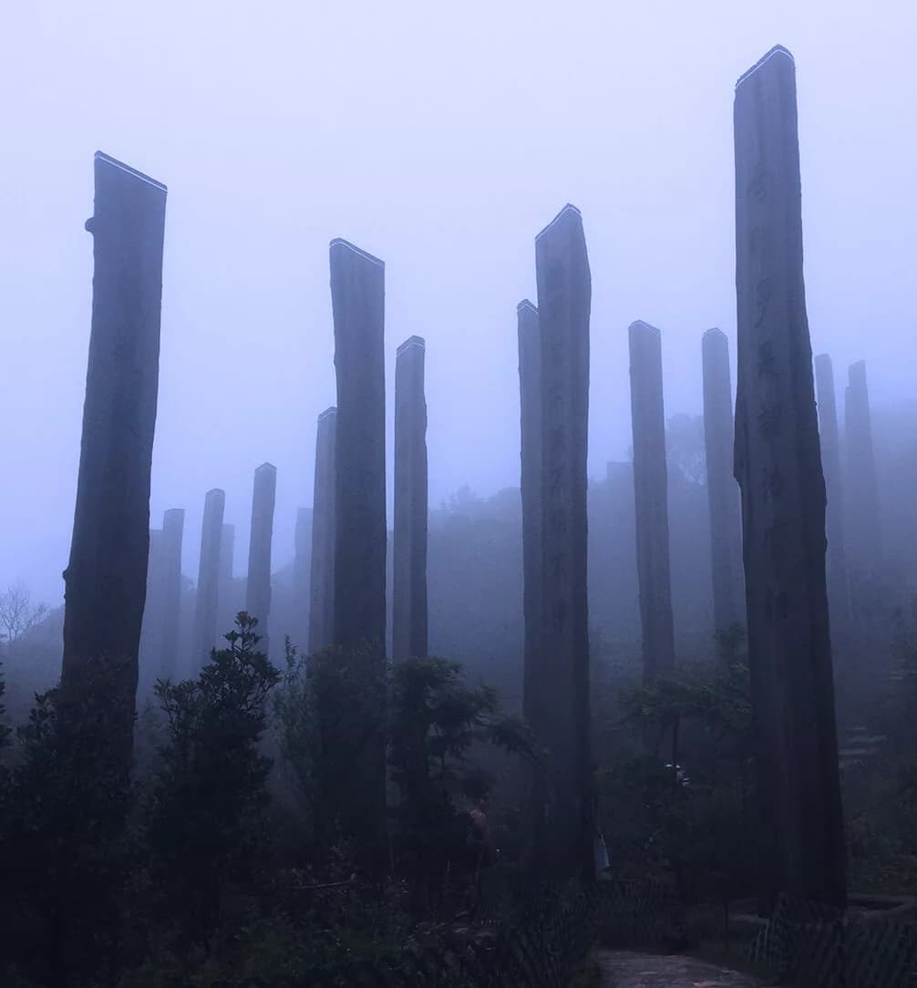 /static/images/travel/hk_5.webp