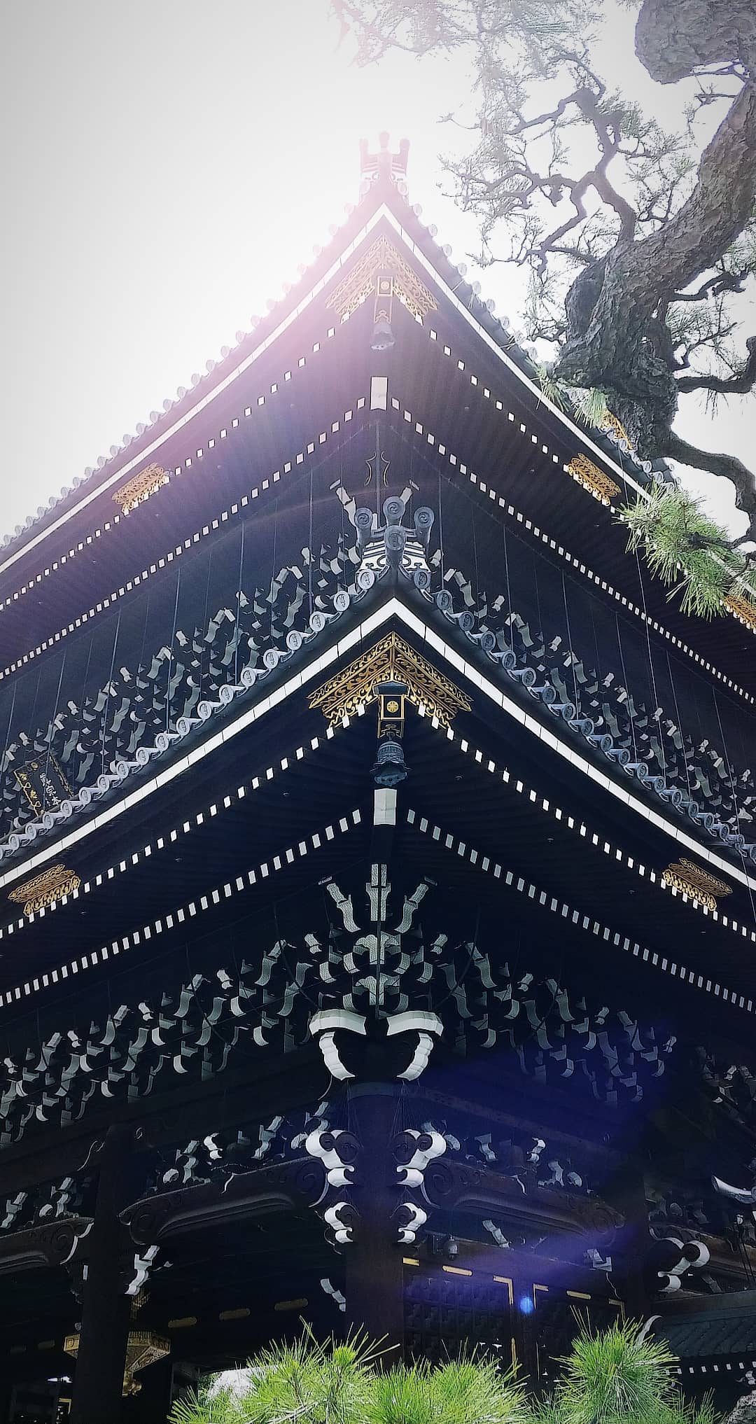 kyoto